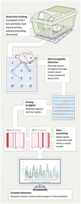 Three Pillars of Automated Home-Cage Phenotyping of Mice: Novel Findings, Refinement, and Reproducibility Based on Literature and Experience